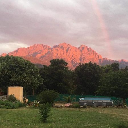 Le Coin Tranquille Hotel Morosaglia Kültér fotó