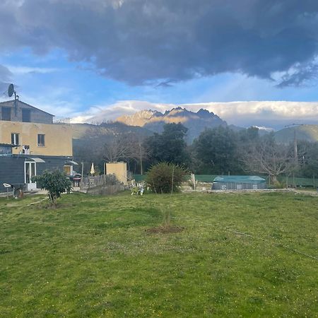 Le Coin Tranquille Hotel Morosaglia Kültér fotó